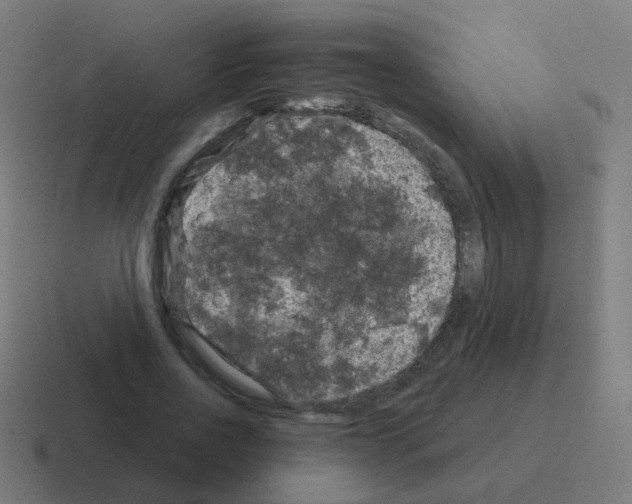 X0000116010734200912312133