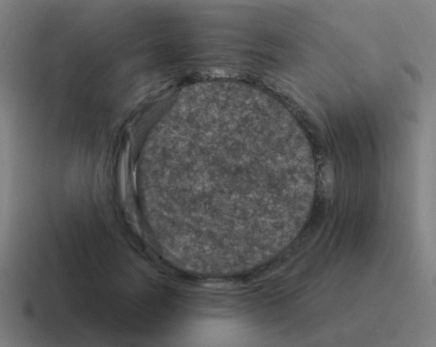X0000116010746200912312133