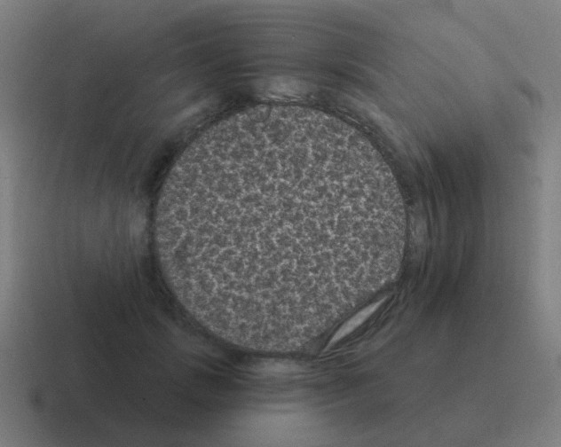 X0000116010749200912312133