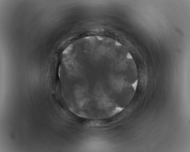 X0000116010758200912312133
