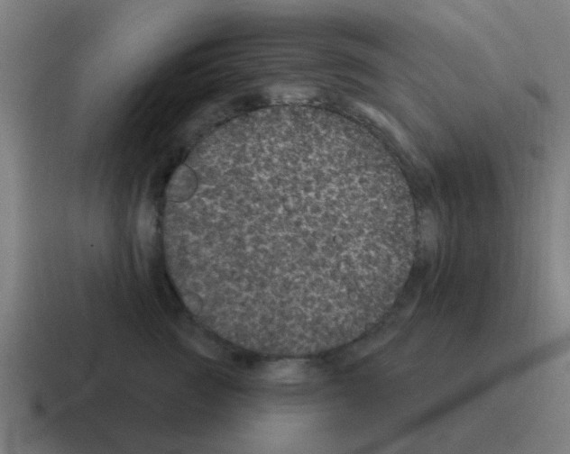 X0000116010761200912312133