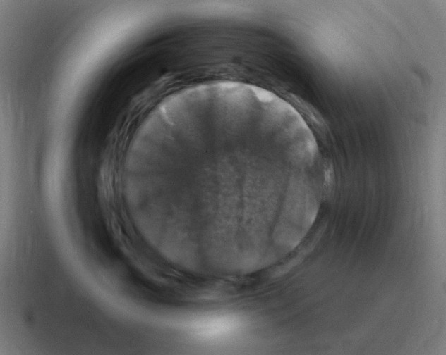 X0000116010765200912312133
