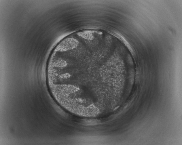 X0000116010795200912312132