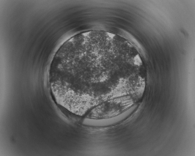 X0000116010808200912312132