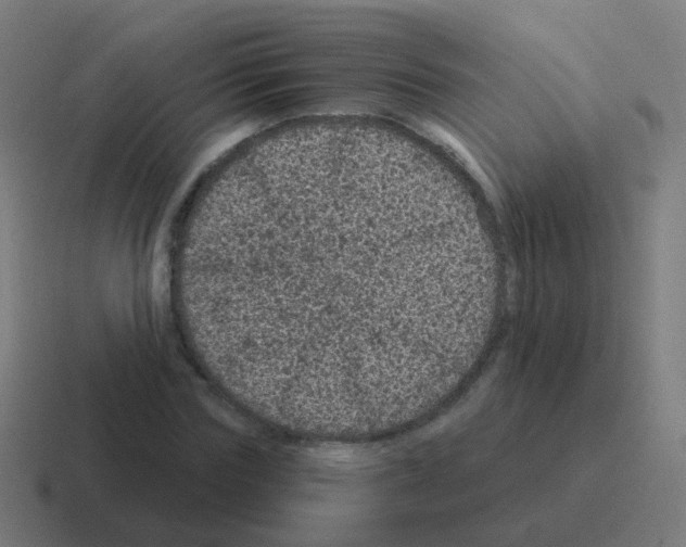 X0000116010827200912312132