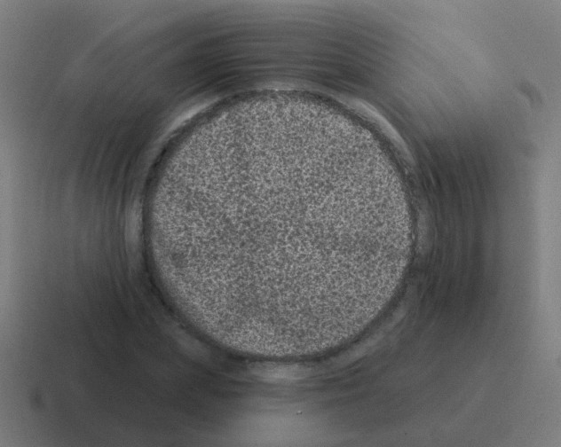X0000116010831200912312132