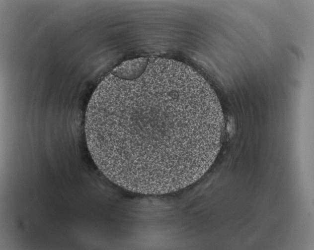 X0000116010867200912312131