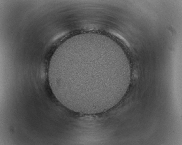 X0000116010869200912312131
