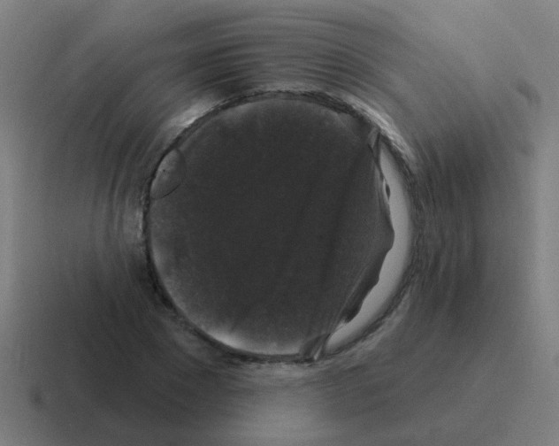 X0000116010881200912312131