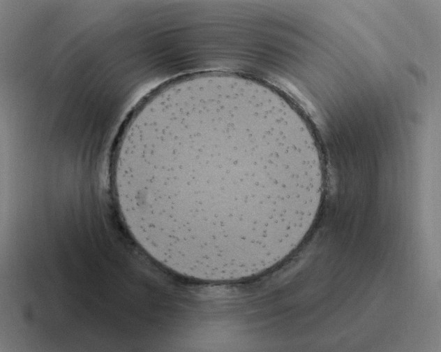 X0000116010883200912312131