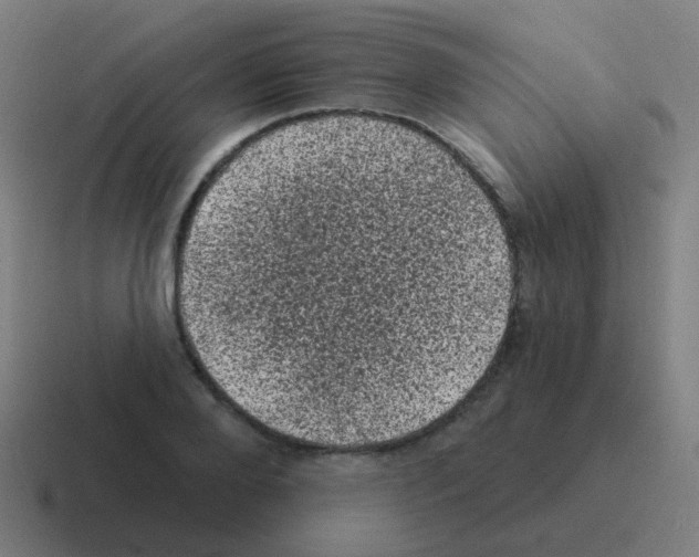X0000116010888200912312131