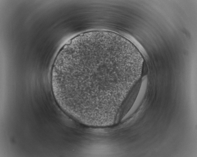 X0000116011004200912312130