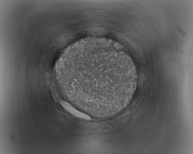 X0000116011010200912312129