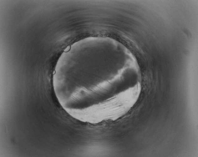 X0000116011013200912312129