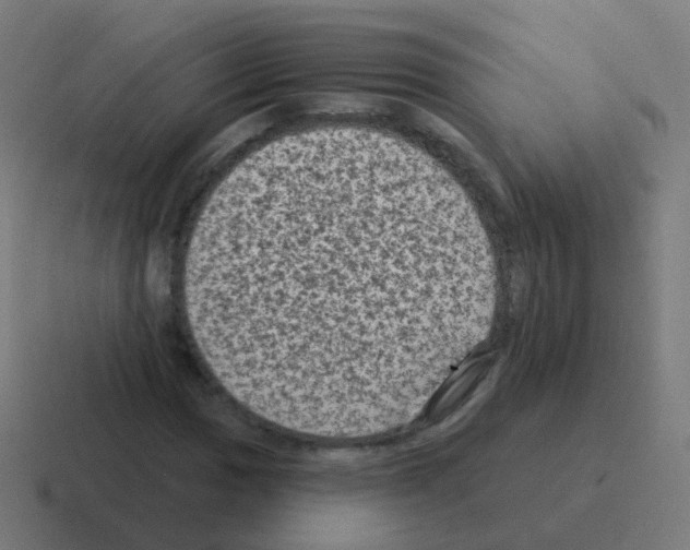 X0000116011017200912312129