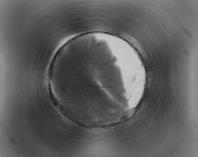 X0000116011024200912312129
