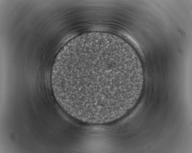 X0000116011041200912312129
