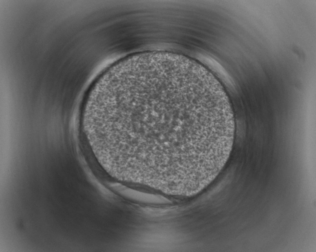 X0000116011046200912312130