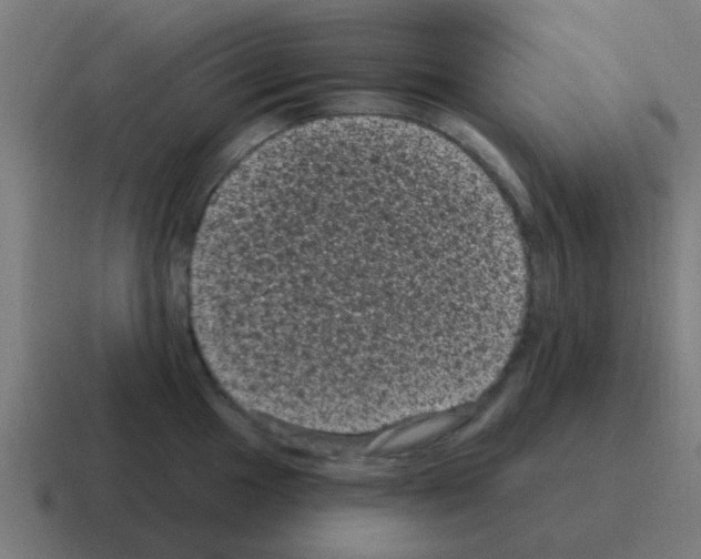 X0000116011049200912312130
