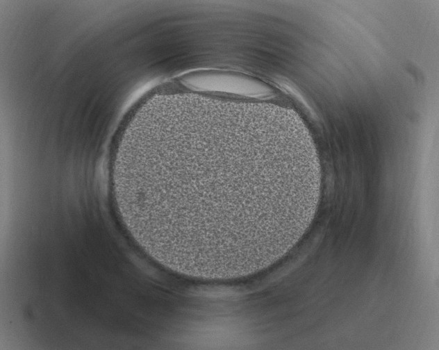 X0000116011079200912312129