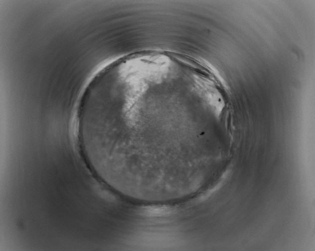 X0000116011125200912312128