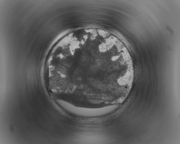 X0000116011142200912312128