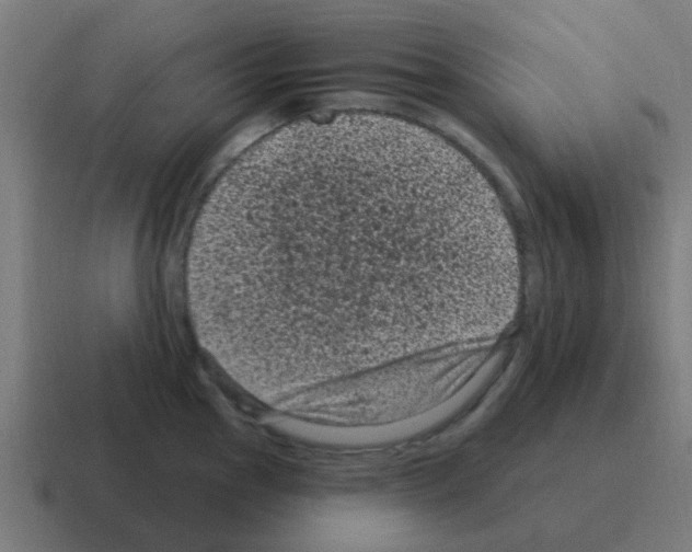 X0000116011145200912312128