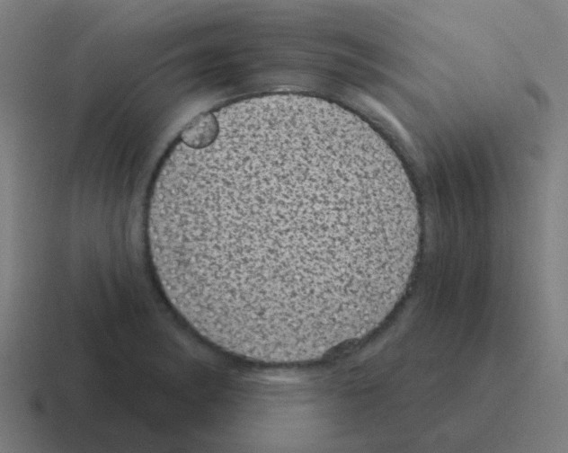 X0000116011182200912312128