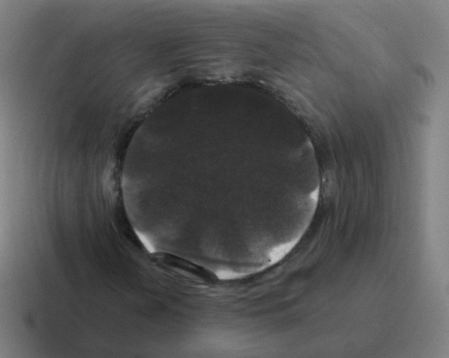 X0000116011202200912312127