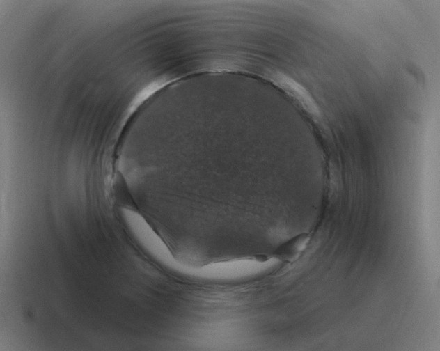 X0000116011226200912312127