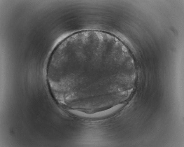 X0000116011230200912312127