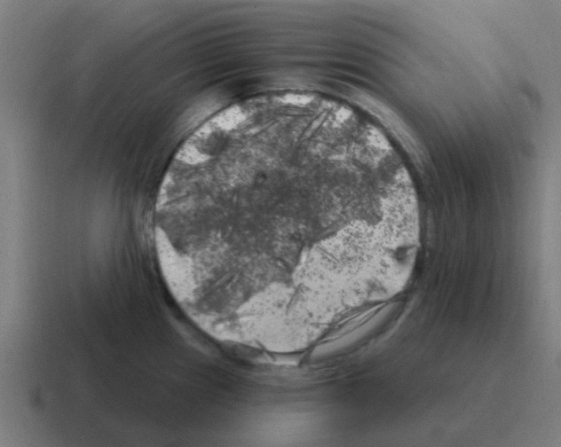 X0000116011241200912312127