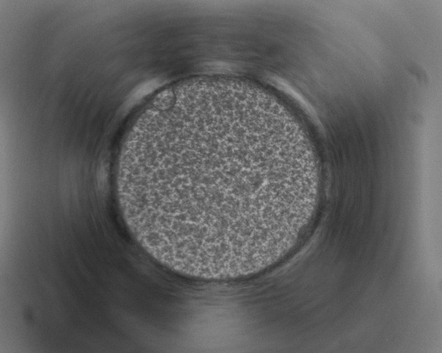 X0000116011259200912312127