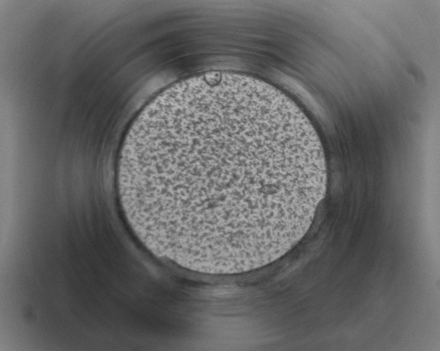 X0000116011282200912312126