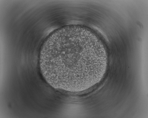X0000116011313200912312126