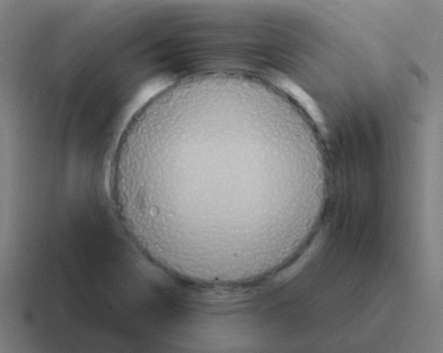 X0000116011322200912312126
