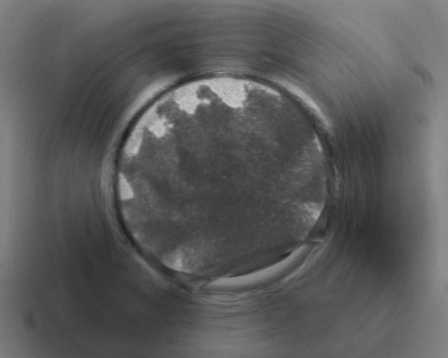 X0000116011325200912312126