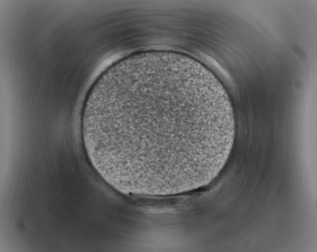 X0000116011384200912312125
