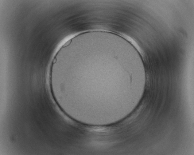 X0000116011387200912312125