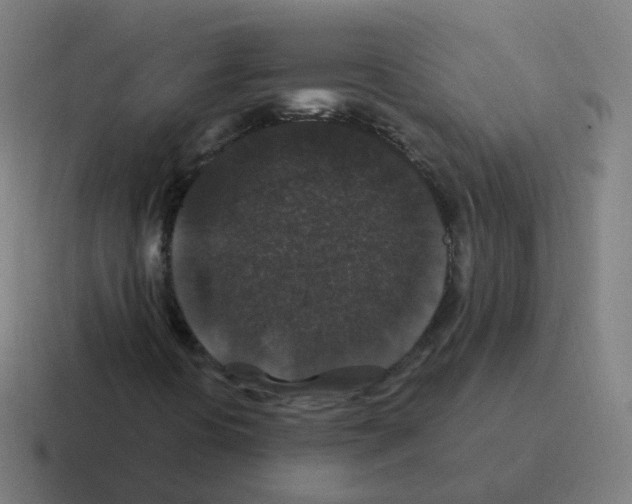 X0000116011394200912312124