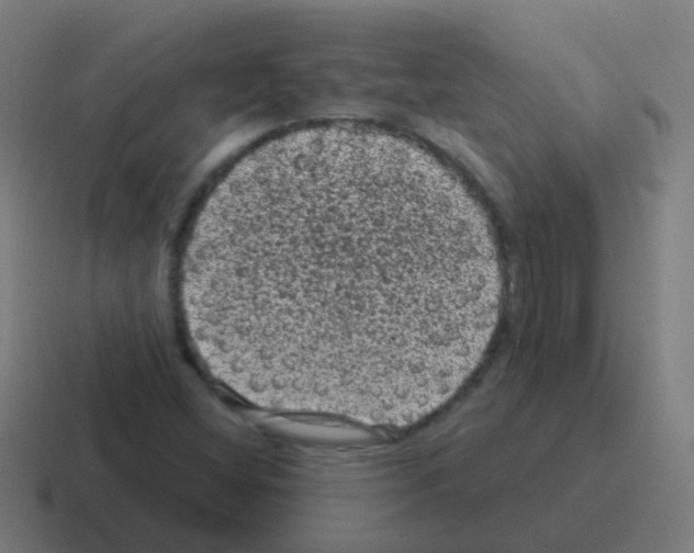 X0000116011404200912312124