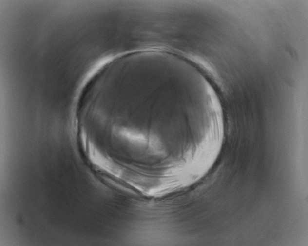 X0000116011414200912312125
