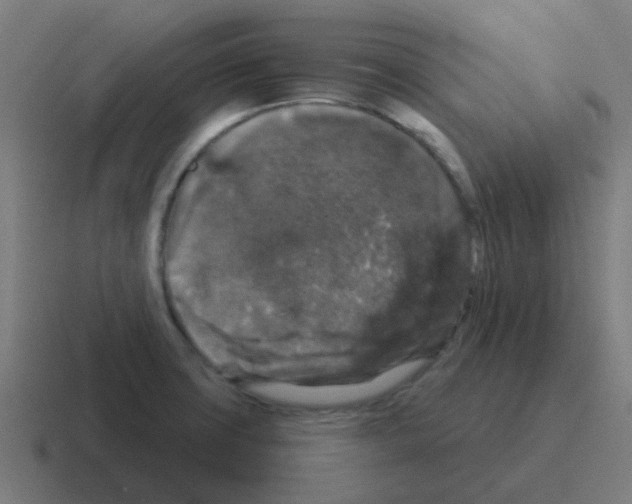 X0000116011427200912312125