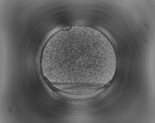 X0000116011434200912312125