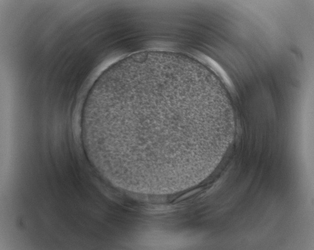 X0000116011435200912312125