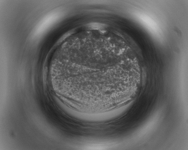 X0000116011438200912312125