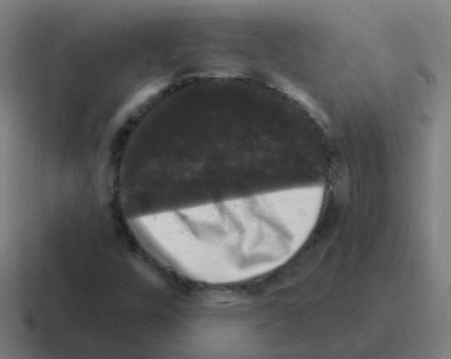 X0000116011448200912312124