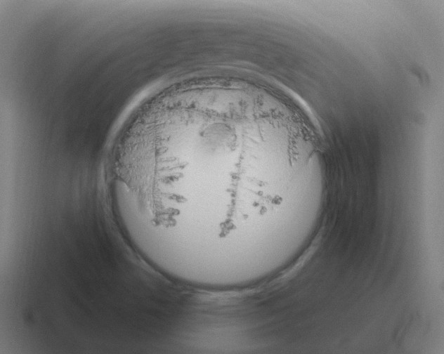 X0000116011506200912312123