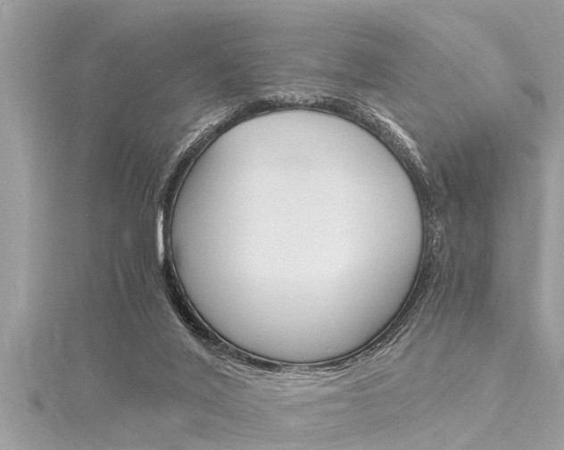 X0000116020020200911200948