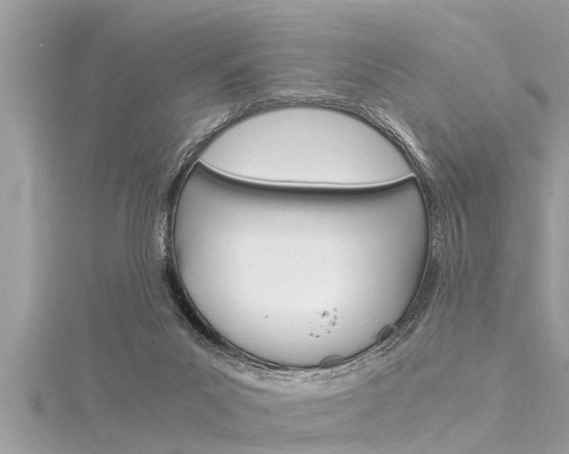 X0000116020023200911200948